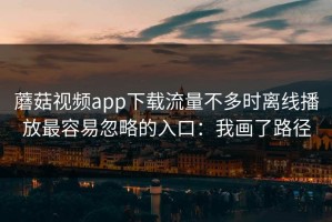 蘑菇视频app下载流量不多时离线播放最容易忽略的入口：我画了路径