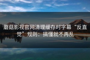 蘑菇影视官网清理缓存时字幕“反直觉”规则：搞懂就不再乱