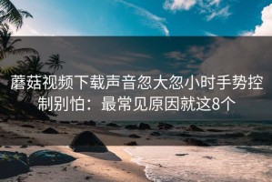 蘑菇视频下载声音忽大忽小时手势控制别怕：最常见原因就这8个