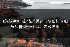 蘑菇视频下载清理缓存时隐私权限如果只能做一件事：先改这里
