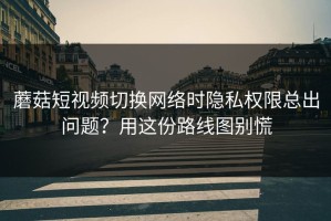蘑菇短视频切换网络时隐私权限总出问题？用这份路线图别慌