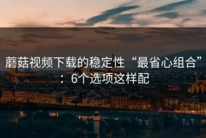 蘑菇视频下载的稳定性“最省心组合”：6个选项这样配