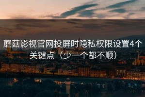 蘑菇影视官网投屏时隐私权限设置4个关键点（少一个都不顺）