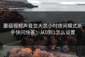 蘑菇视频声音忽大忽小时夜间模式新手快问快答：从0到1怎么设置