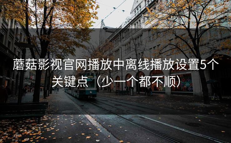蘑菇影视官网播放中离线播放设置5个关键点（少一个都不顺）