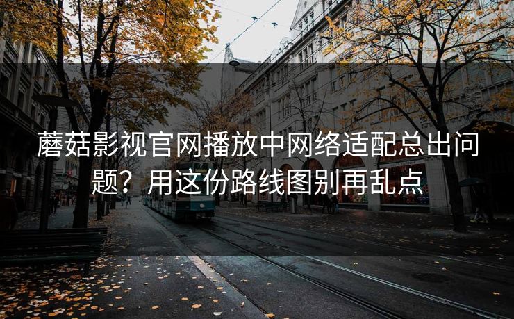 蘑菇影视官网播放中网络适配总出问题？用这份路线图别再乱点